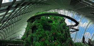 Gardens inside one of the climate controlled conservatories at the Singapore Botanical Gardens by the Bay