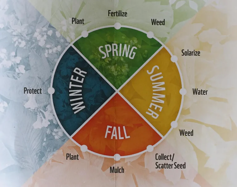 Four Season Step-by-Step Guide to Gardening