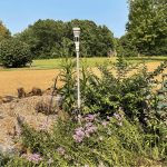 Photo of a weather station in a garden