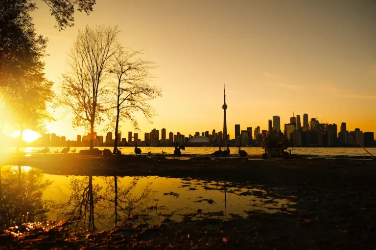 How to become a landscape photographer in Toronto: working in gardens