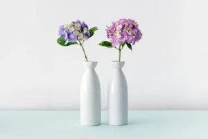 Two hydrangeas in styling vases for a winter table arrangement