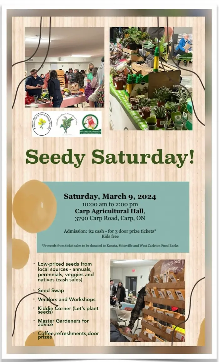 Seedy Saturday Poster