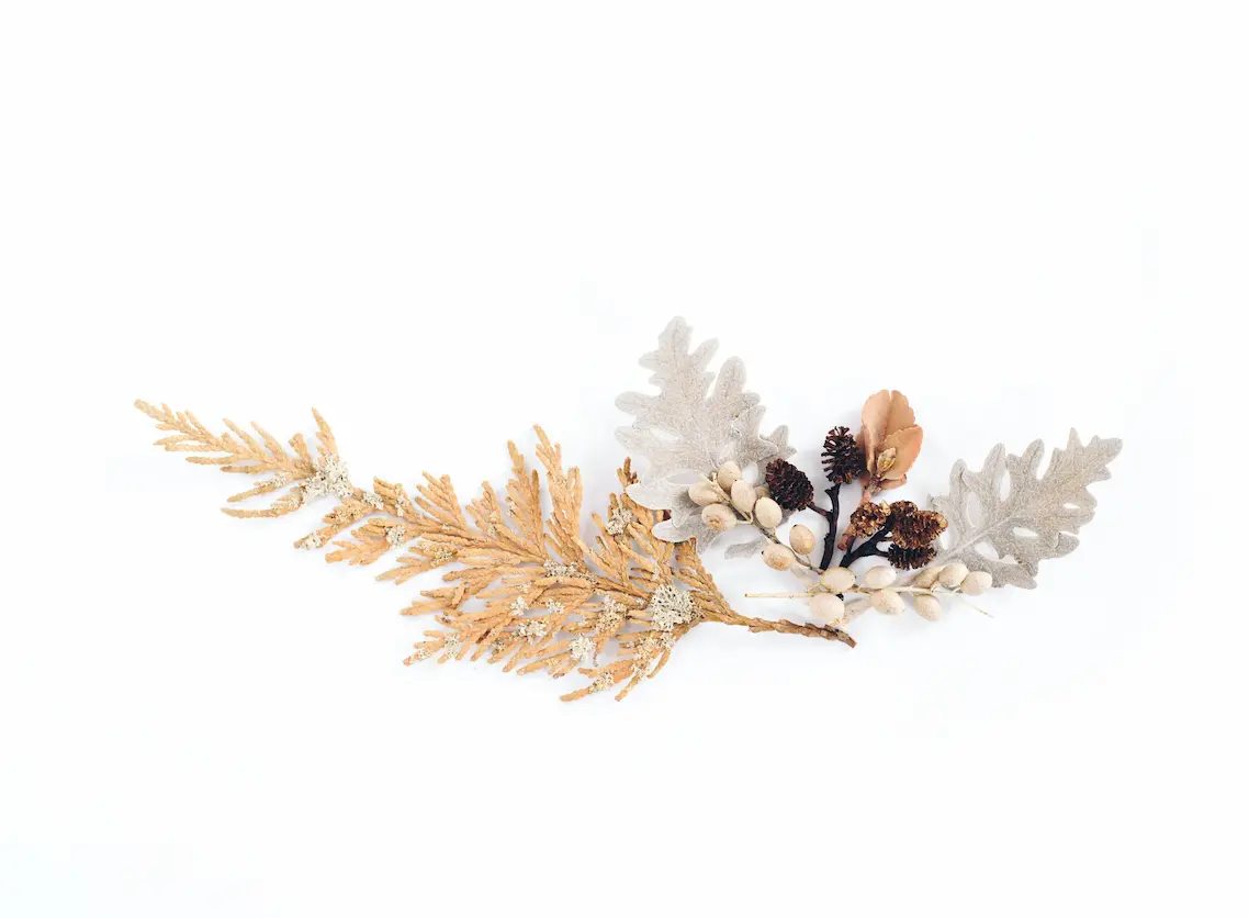 Dried leaves and seeds against an all white winter-like background