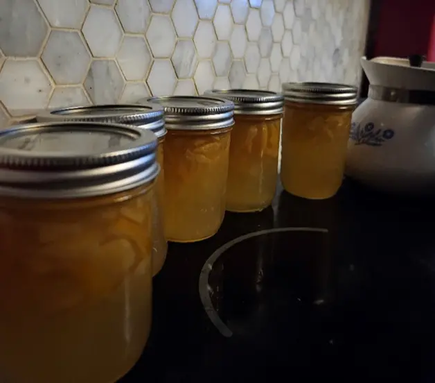 Judith’s Meyers Lemon Marmalade Recipe