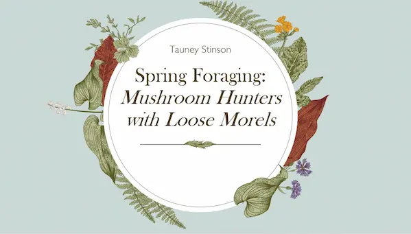 Spring Foraging: Mushroom Hunters with Loose Morels