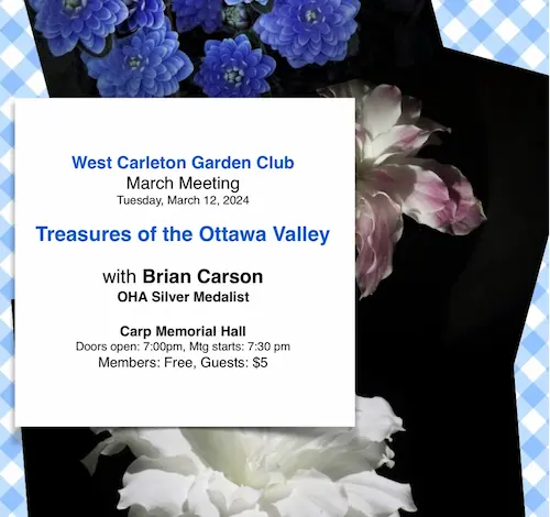 Treasures of the Ottawa Valley with Brian Carson