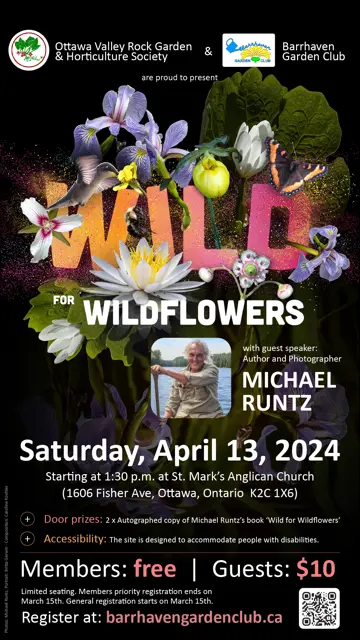 WILD FOR WILDFLOWERS WITH MICHAEL RUNTZ