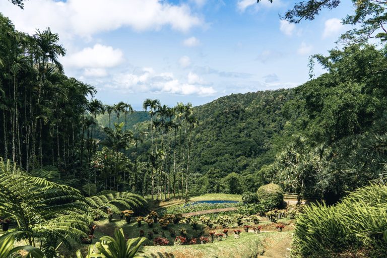 Jardin de Balata