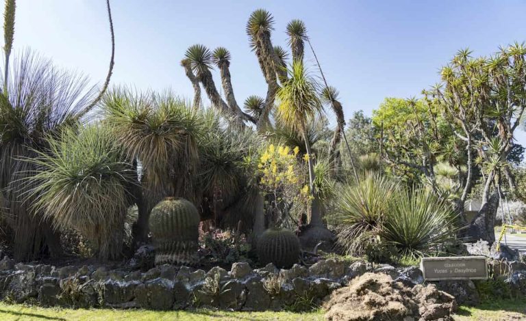 University of Mexico Botanical Garden