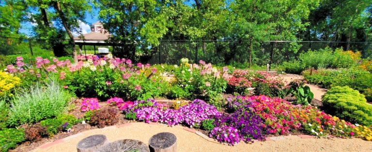 Colourful garden at the Northern Plains Botanical Garden