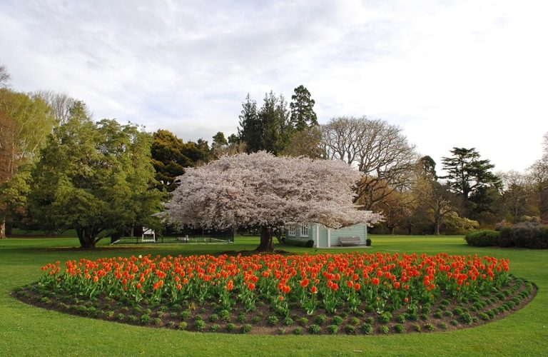 Christchurch Botanic Gardens