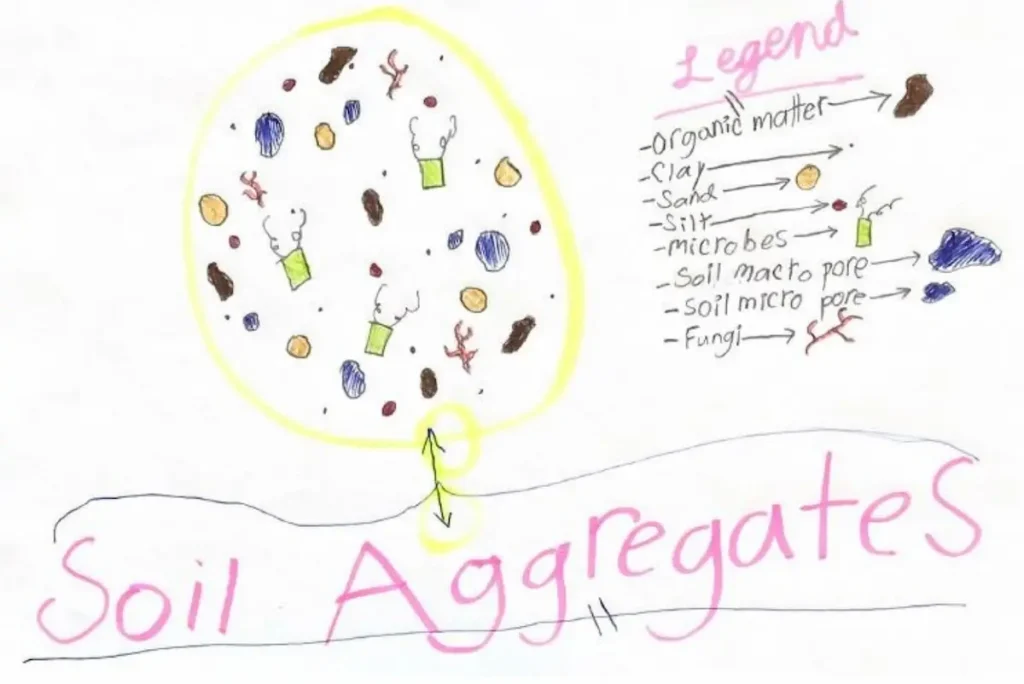 Understanding Soil Understanding Soil