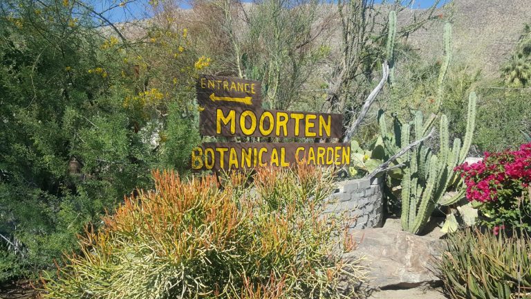 Moorten Botanical Garden