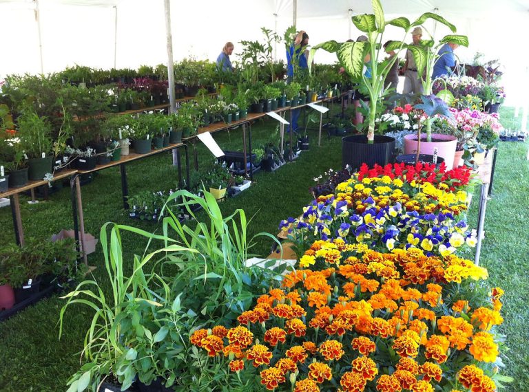 Colorful floral display at the Federicton Botanical Garden