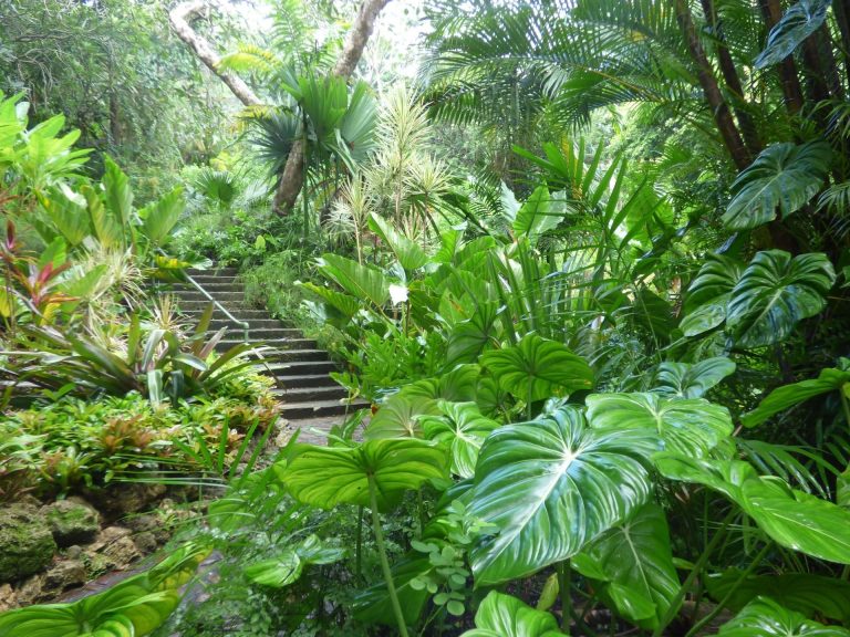 Andromeda Botanic Gardens