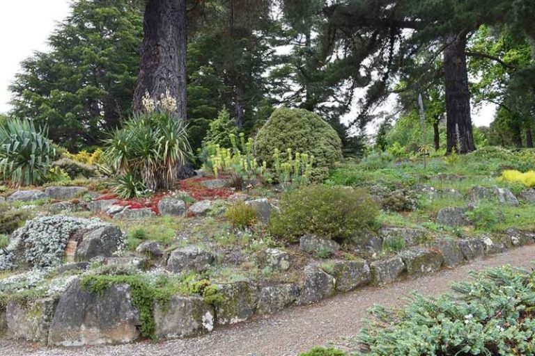 Dunedin Botanic Gardens