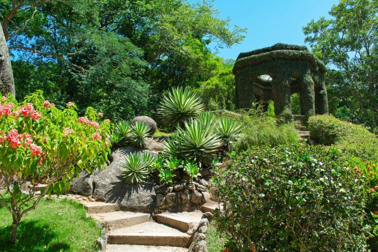 Rio de Janeiro Botanic Garden