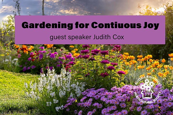 Gardening for Continuous Joy and Flower Show