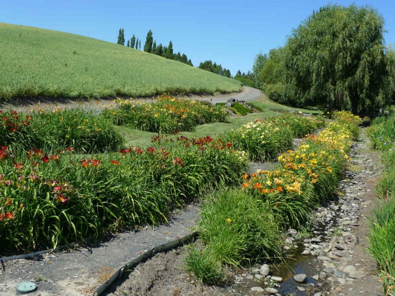 University of Idaho Botanical Garden