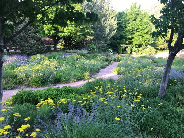 Red Butte Garden & Arboretum