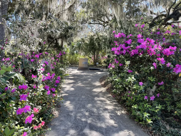 Brookfiled Butterfly garden photo