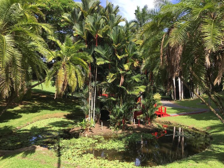 University of Puerto Rico Botanic Garden