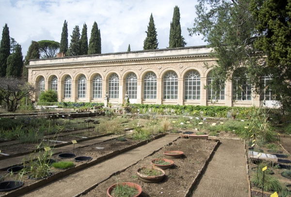 Jardin botanique de Montpellier