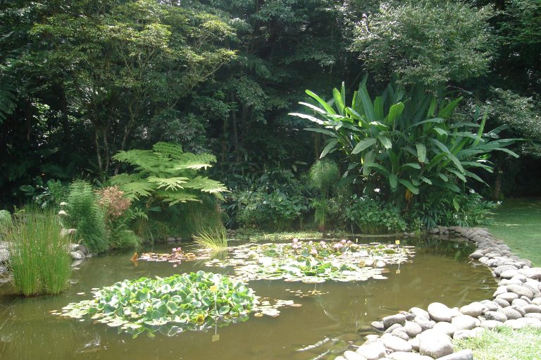 Francisco Javier Clavijero Botanical Garden