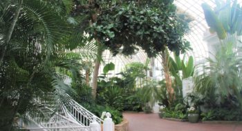 Palm House at the Franklin Park Conservatory