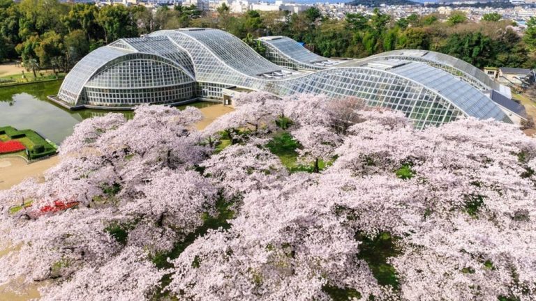 kyoto Botanical Garden
