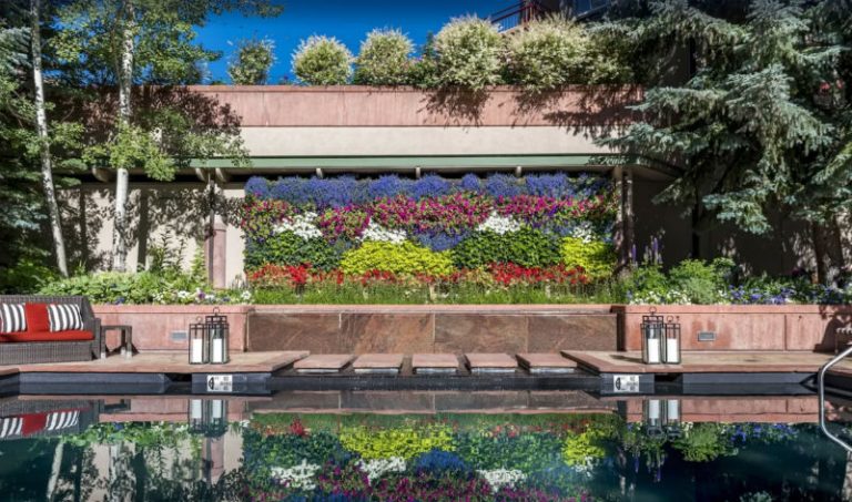 Fabulous hotel garden