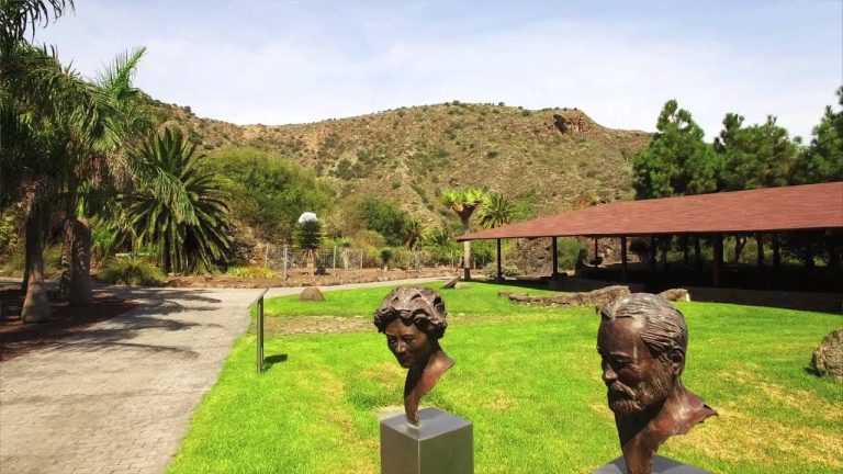 Canary Islands Botanical Garden “Viera y Clavijo”