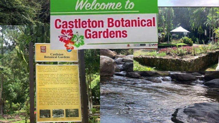 Castleton Garden