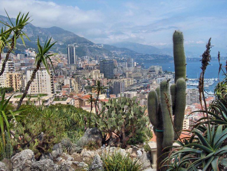 Le Jardin exotique de Monaco