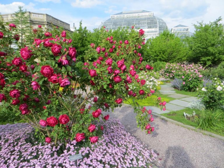 United States Botanic Garden