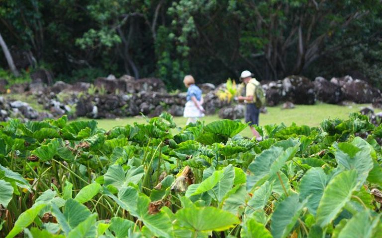 Peopl enjoying the tropicl botanical garden