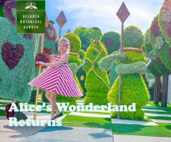 Alice’s Wonderland Returns