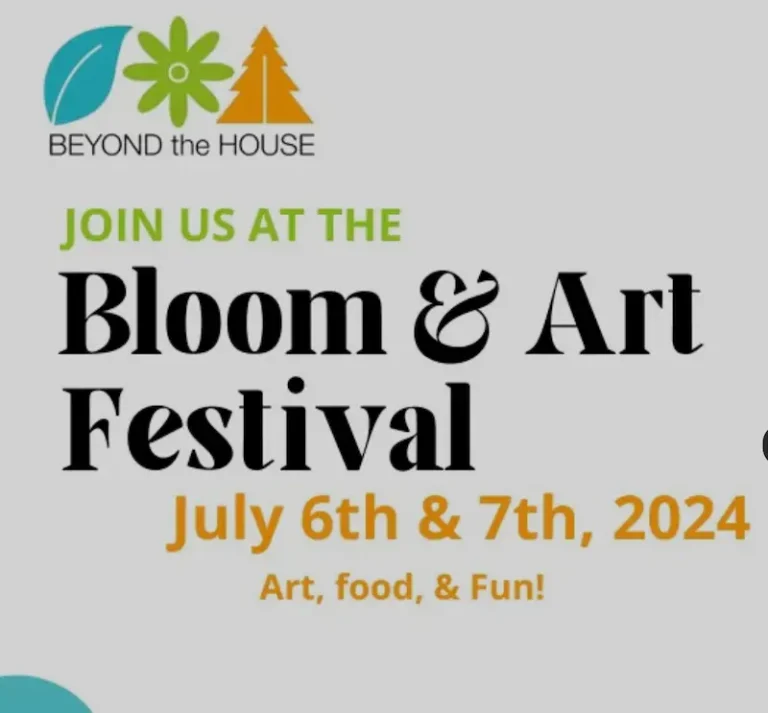Beyonf the house art festival