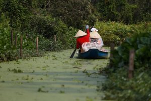 Canoe being paddled in a canal at Tra Su Sanctuary