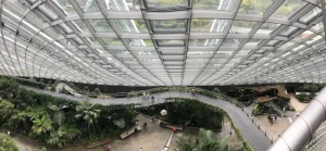 The view from inside the Singapore Botanic Garden Greenhouse with a skywalk, plants and exterior glass wall