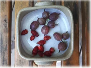 Yogurt with strawberries and gooseberries in a bowl