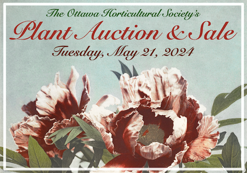 OHS Plant Auction & Sale