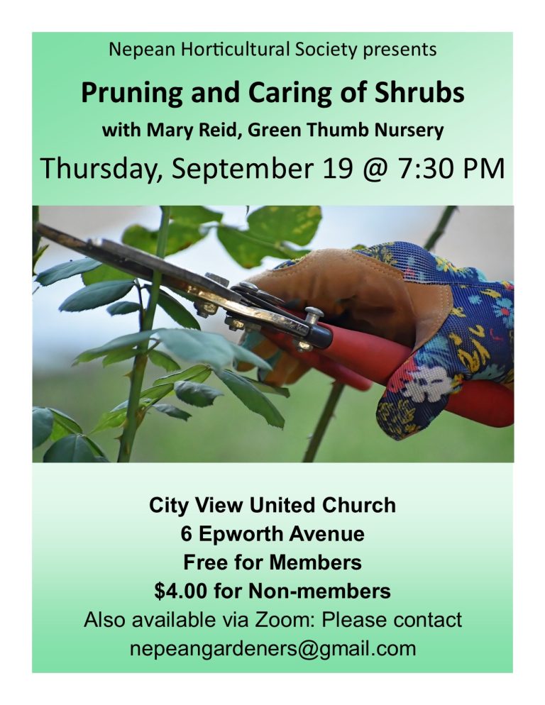 Pruning and Caring of Shrubs