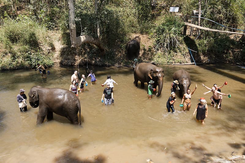 Group of people washing three elephants in a river