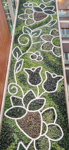Jardin vertical unversity of Ottawa