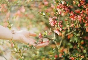 A hand reachng out to flowers in a soft light
