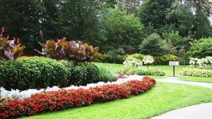 A beautifully manicured flower garden with borders