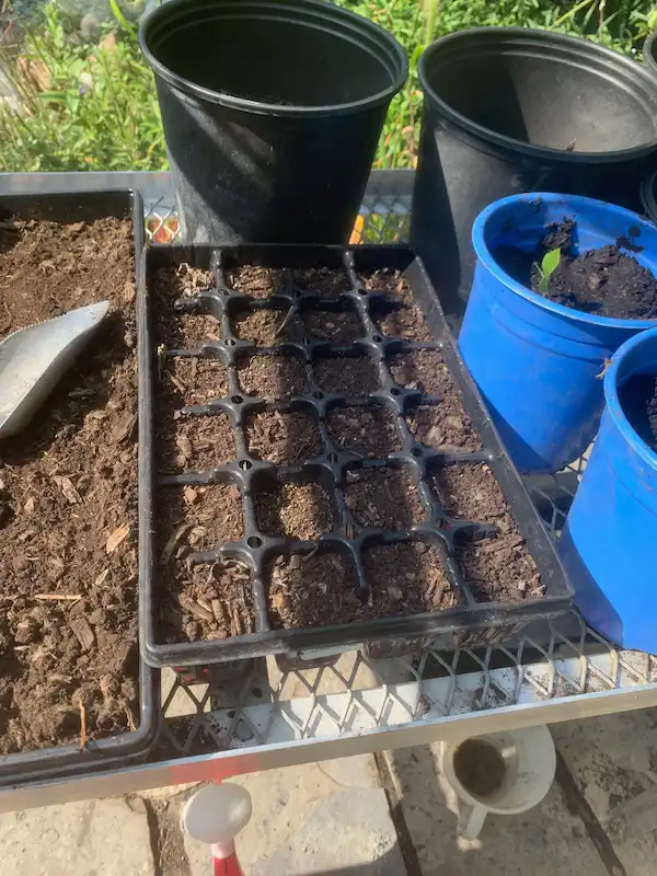 A seed tray with twenty-four compartments full of planting soil.