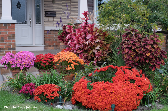 OHS Annual Fall Plant Sale