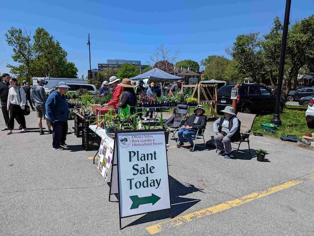 OVRGHS Plant Sale